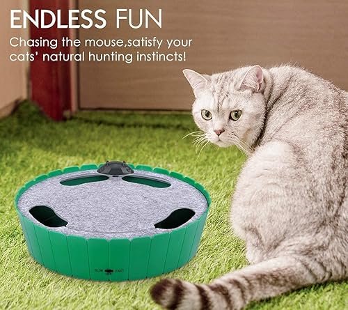 Pawaboo Interactive Cat Toy with Running Mouse — lifestyle photo
