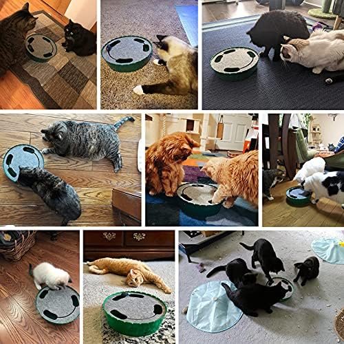 Pawaboo Interactive Cat Toy with Running Mouse — packaging and what arrives in the box