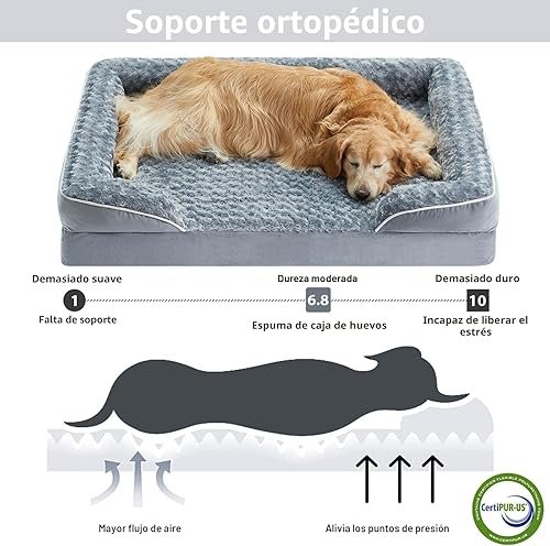 WNPETHOME Dog Beds for Large Sized Dogs — lifestyle photo