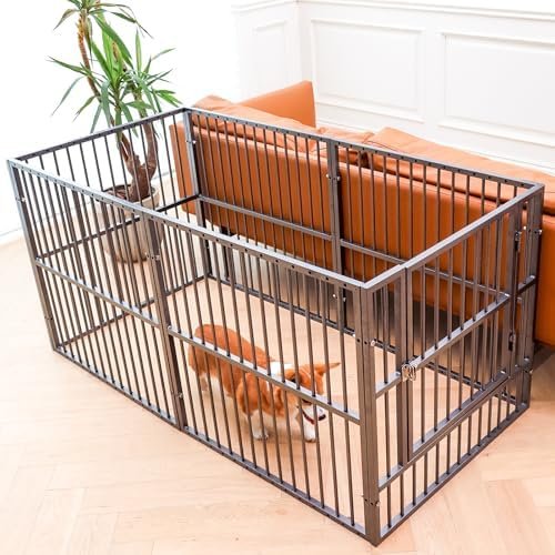 XPIY Large Dog Crate — lifestyle photo