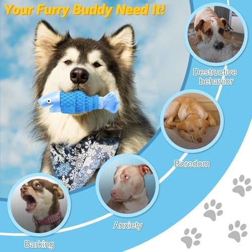 WinTour Tough Dog Toys for Aggressive Chewers — packaging and what arrives in the box