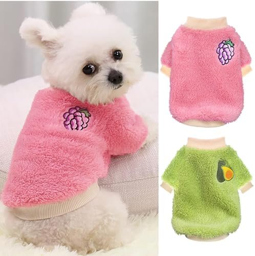 XXS Dog Sweaters for Small Dogs Girl — shown in a real home setting for scale