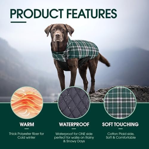 Kuoser Waterproof Dog Coat — top-down angle highlighting key features
