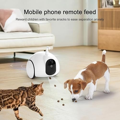 Pet Camera Treat Dispenser — shown in a real home setting for scale