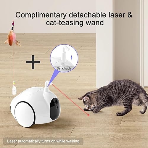 Pet Camera Treat Dispenser — top-down angle highlighting key features