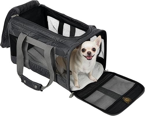 Sherpa Original Deluxe Travel Pet Carrier, Airline — main product photo from Amazon listing (ASIN B07D5FTGP7)