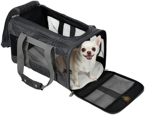 Sherpa Original Deluxe Travel Pet Carrier, Airline — shown in a real home setting for scale