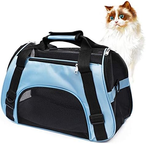 Pet Carrier Soft-Sided Carriers for Cat Carriers Dog — shown in a real home setting for scale