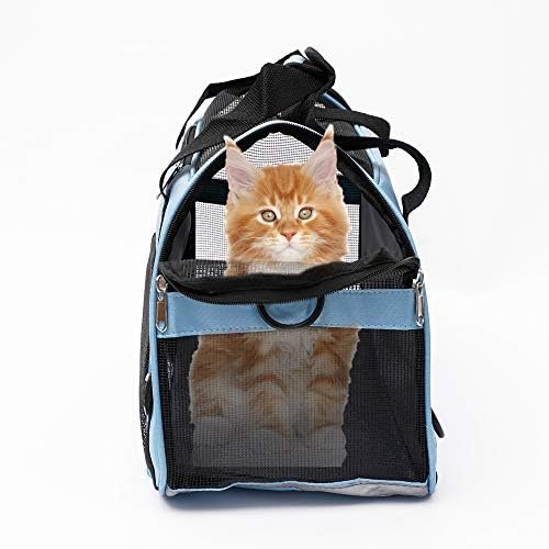 Pet Carrier Soft-Sided Carriers for Cat Carriers Dog — packaging and what arrives in the box