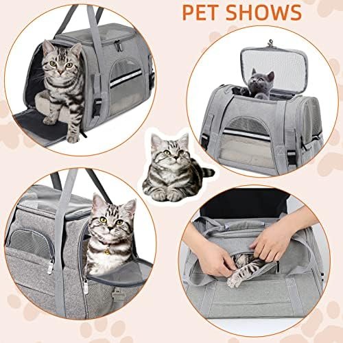 Pet Carrier Bag Airline Approved Up for Cats and Dogs — top-down angle highlighting key features