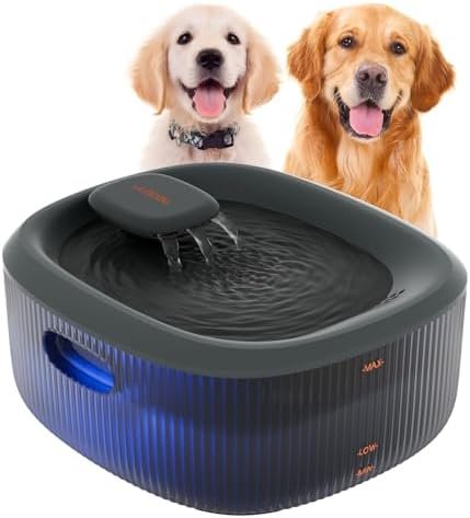 WOPET Dog Water Fountain for Large Dogs — shown in a real home setting for scale