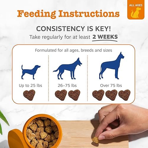 Zesty Paws Dog Multivitamin — alternate angle