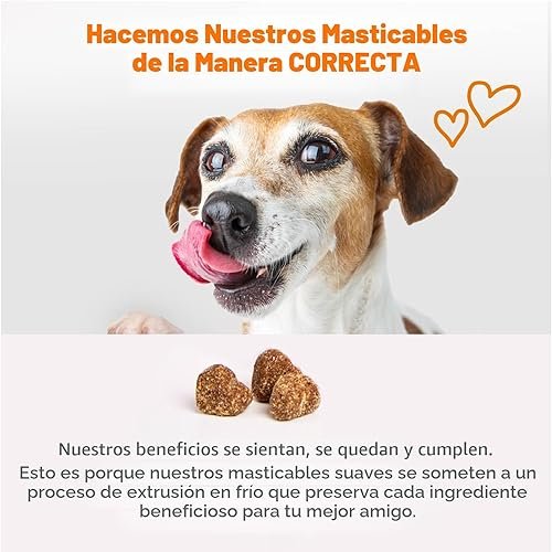 Zesty Paws Dog Multivitamin — close-up of materials and construction quality