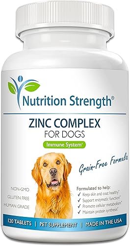 Zinc for Dogs to Support Healthy Skin & Coat — lifestyle photo