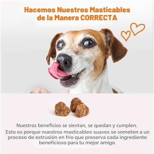 Zesty Paws Dog Multivitamin — bottom and base construction detail