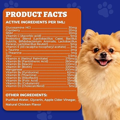 Wellix 4.06 FL oz 24-in-1 Liquid Multivitamin, Pet — shown in a real home setting for scale