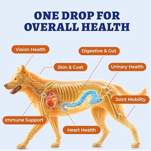 Wellix 4.06 FL oz 24-in-1 Liquid Multivitamin, Pet — bottom and base construction detail