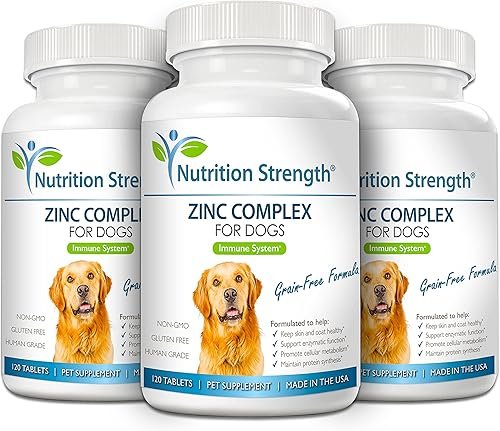 Zinc for Dogs to Support Healthy Skin & Coat — shown in a real home setting for scale