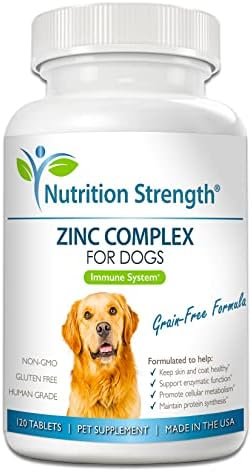 Zinc for Dogs to Support Healthy Skin & Coat — top-down angle highlighting key features