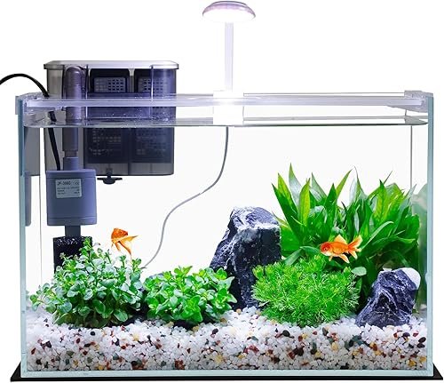Aquarium And Fish — product photo