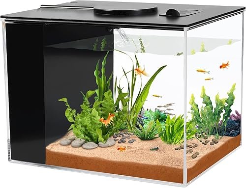 Aquarium And Fish — product photo