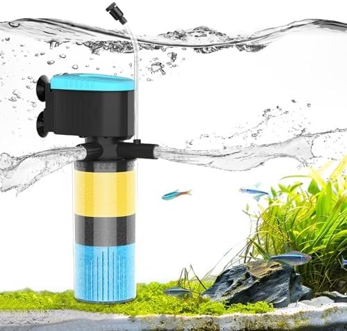 Aquarium And Fish — product photo