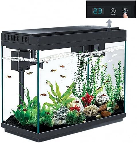 Aquarium And Fish — product photo