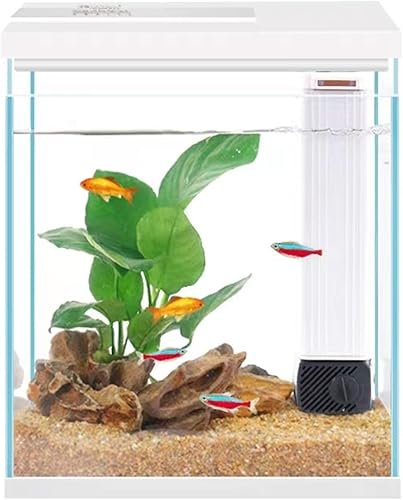 Aquarium And Fish — product photo
