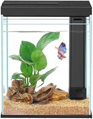 Aquarium And Fish — product photo