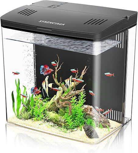 Aquarium And Fish — product photo