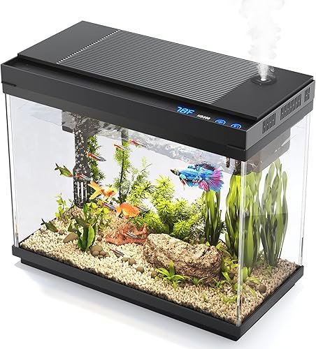 Aquarium And Fish — product photo