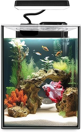 Aquarium And Fish — product photo