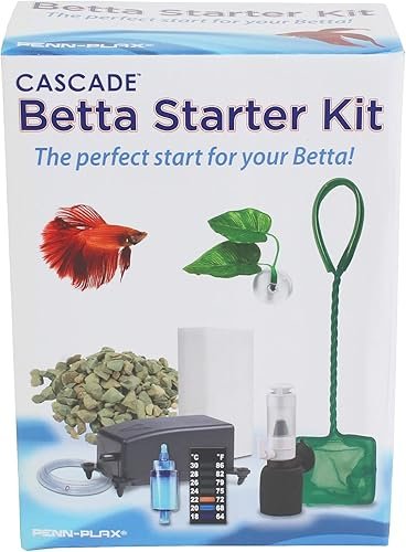 Aquarium And Fish — product photo