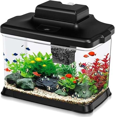 Aquarium And Fish — product photo