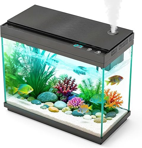 Aquarium And Fish — product photo