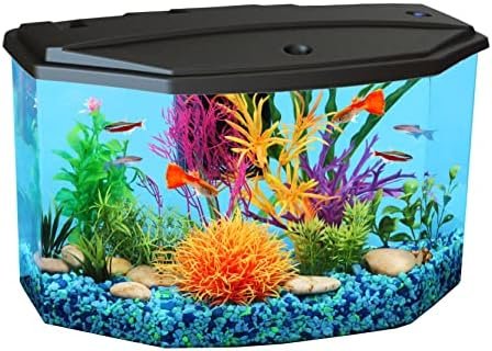 Aquarium And Fish — product photo