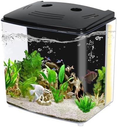 Aquarium And Fish — product photo