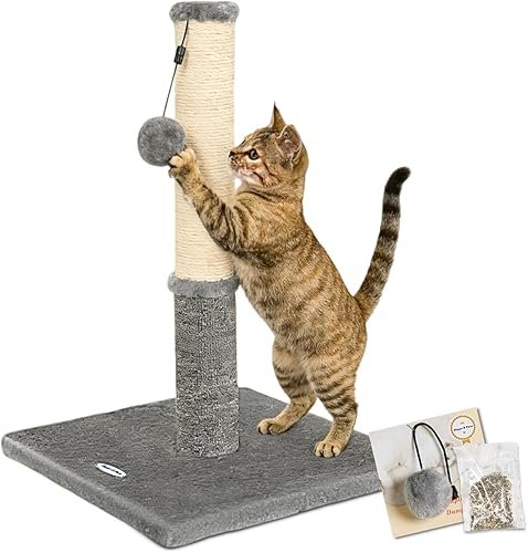 Cat Furniture And Scratchers — product photo