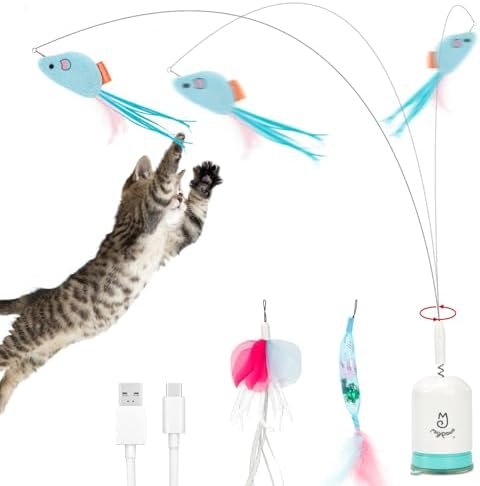 Cat Toys — product photo