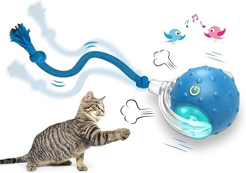 Cat Toys — product photo