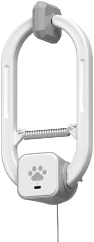 Cat Toys — product photo