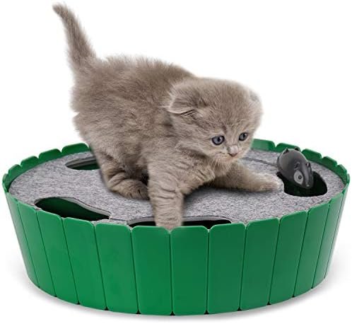 Cat Toys — product photo