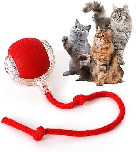 Cat Toys — product photo