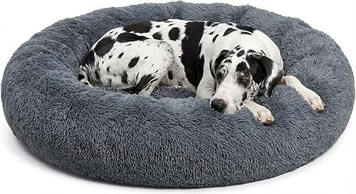Dog Beds — product photo