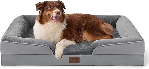 Dog Beds — product photo