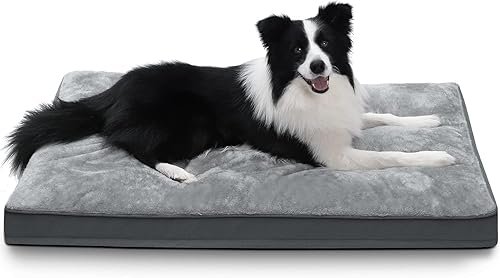 Dog Beds — product photo