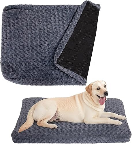 Dog Beds — product photo