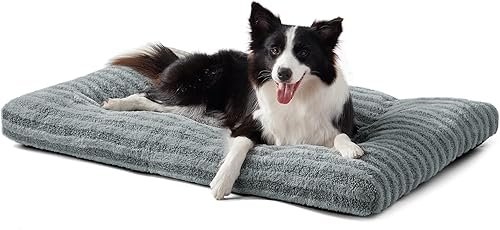Dog Beds — product photo