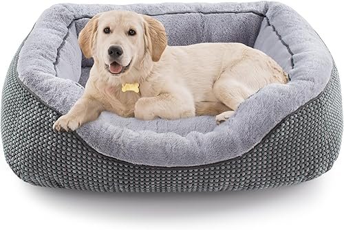 Dog Beds — product photo