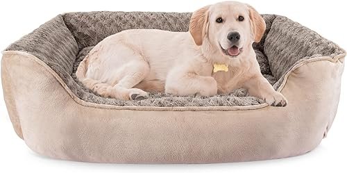 Dog Beds — product photo